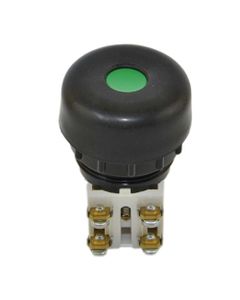 Przycisk uszczelniony N2-1UP zielony, 2NO+2NC, monostabilny, standard 38mm