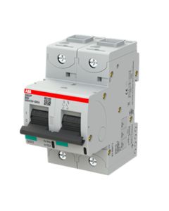 Wyłącznik nadprądowy S802P-D100, 2P char. D 100A, 50kA