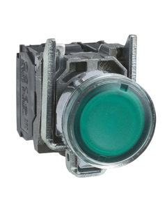 Przycisk podświetlany XB4BW33M5 zielony, 230V AC, 1NO+1NC, monostabilny